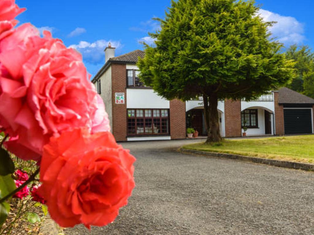 Killowen House B&B Drogheda Esterno foto