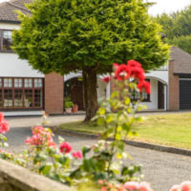 Killowen House B&B Drogheda Esterno foto